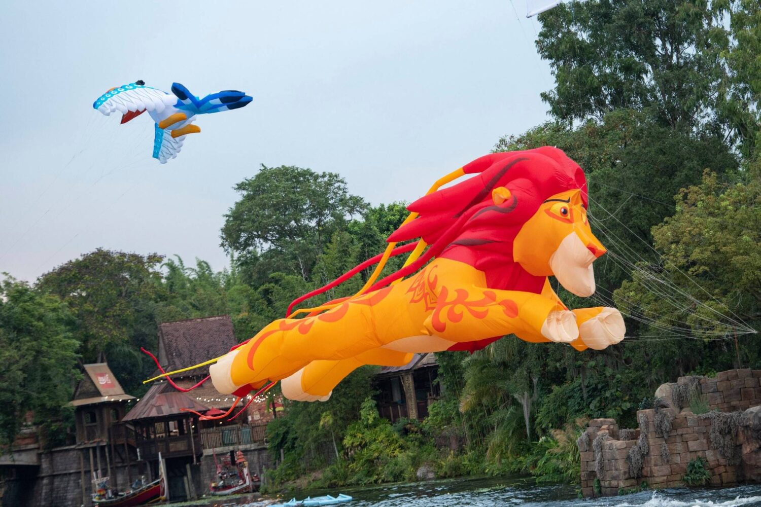 Adult Simba and Zazu @ Disney's Animal Kingdom