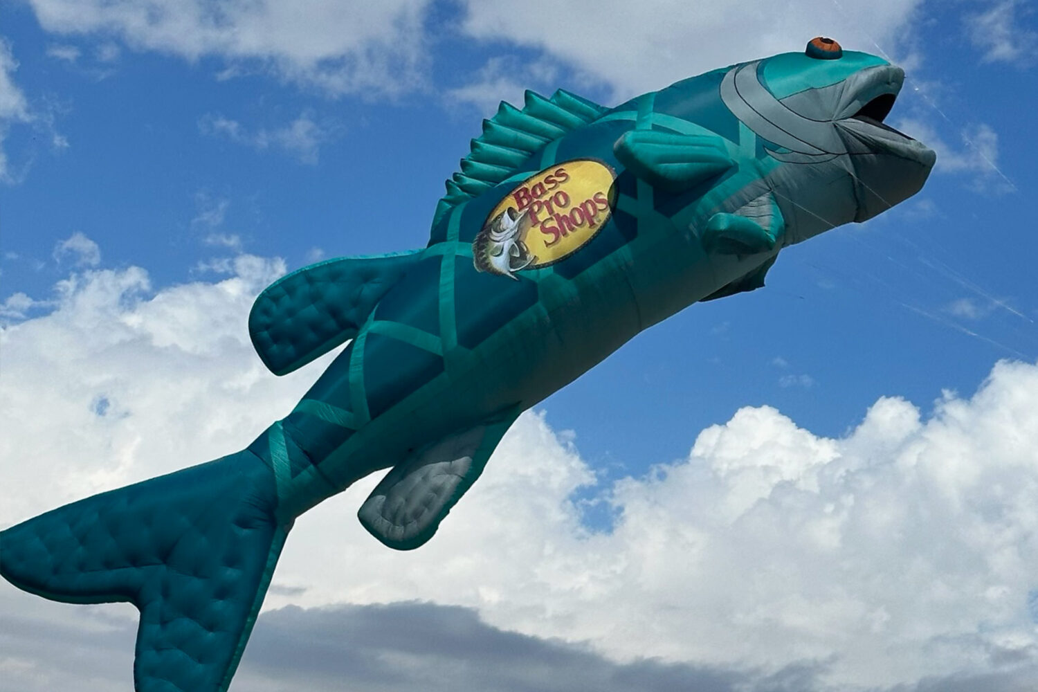 Bass Pro Dye Sublimation on kite