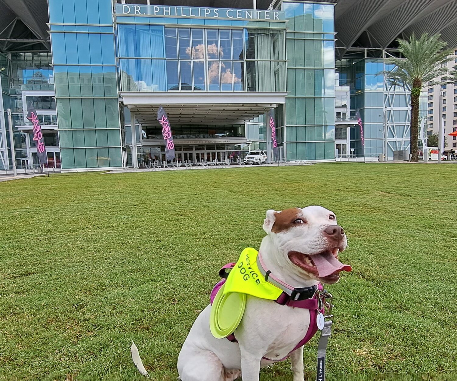 From a Facebook post by Jennifer Hotai about the Metacenter Global Week